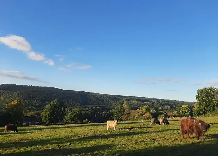 Nature Circuit Francorchamps * Stavelot